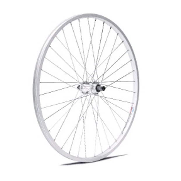 Roue Arrière Gurpil 28' (622 / 19)